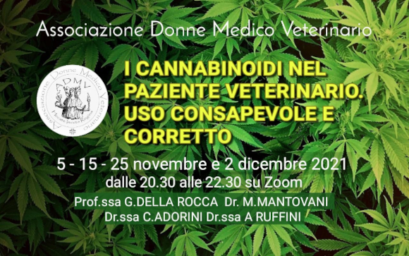 corso on line su zoom